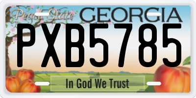 GA license plate PXB5785