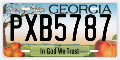 GA license plate PXB5787