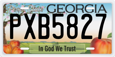 GA license plate PXB5827
