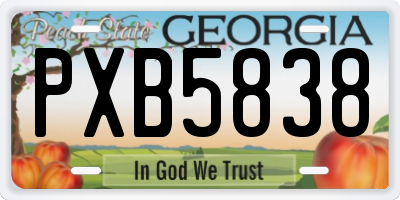 GA license plate PXB5838