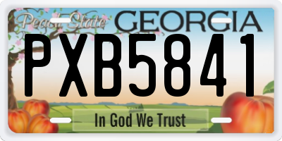 GA license plate PXB5841