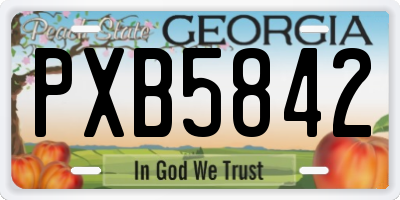 GA license plate PXB5842