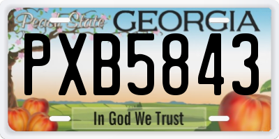 GA license plate PXB5843