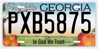 GA license plate PXB5875