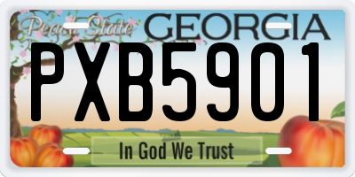 GA license plate PXB5901