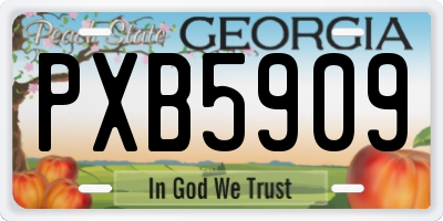 GA license plate PXB5909
