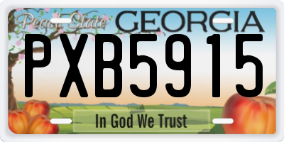 GA license plate PXB5915