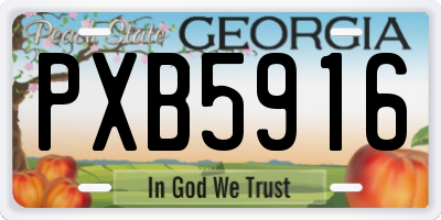 GA license plate PXB5916