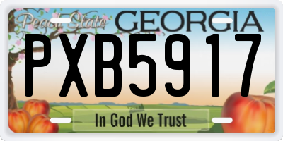 GA license plate PXB5917