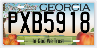 GA license plate PXB5918