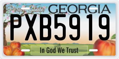 GA license plate PXB5919