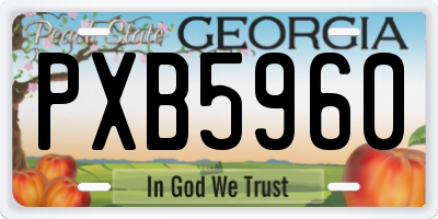 GA license plate PXB5960