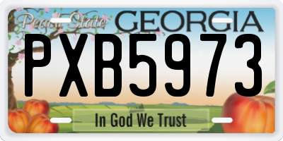 GA license plate PXB5973