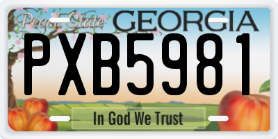 GA license plate PXB5981