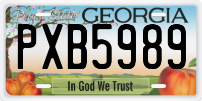 GA license plate PXB5989
