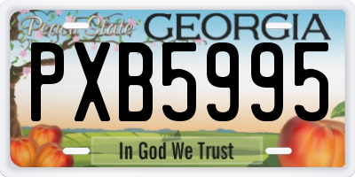 GA license plate PXB5995