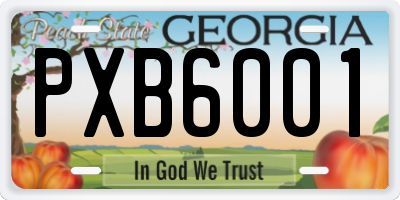 GA license plate PXB6001