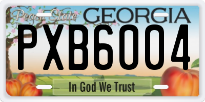 GA license plate PXB6004