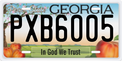 GA license plate PXB6005