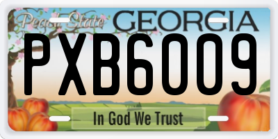 GA license plate PXB6009