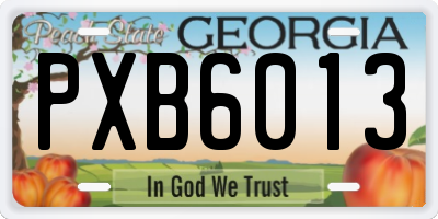GA license plate PXB6013