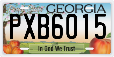 GA license plate PXB6015