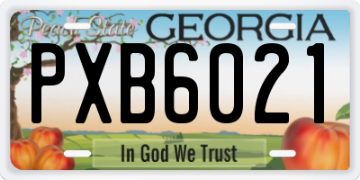 GA license plate PXB6021
