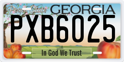 GA license plate PXB6025