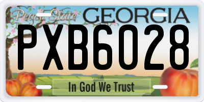 GA license plate PXB6028