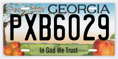 GA license plate PXB6029
