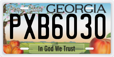 GA license plate PXB6030