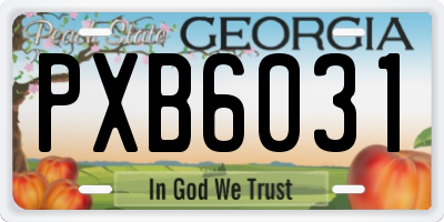 GA license plate PXB6031