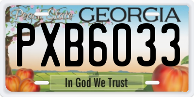 GA license plate PXB6033
