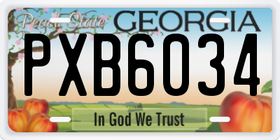 GA license plate PXB6034