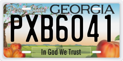 GA license plate PXB6041