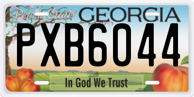 GA license plate PXB6044