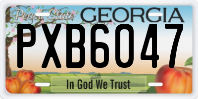 GA license plate PXB6047