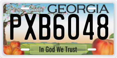 GA license plate PXB6048