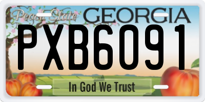 GA license plate PXB6091