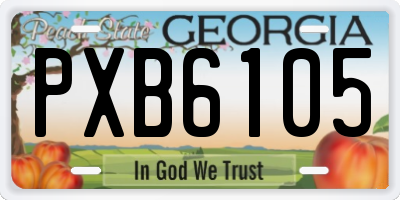 GA license plate PXB6105