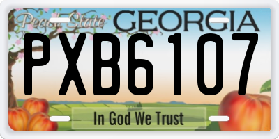 GA license plate PXB6107