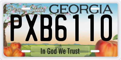 GA license plate PXB6110