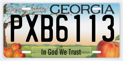 GA license plate PXB6113