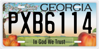 GA license plate PXB6114