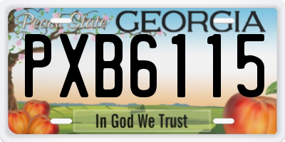 GA license plate PXB6115