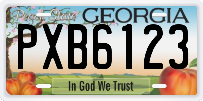 GA license plate PXB6123