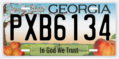 GA license plate PXB6134