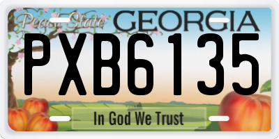 GA license plate PXB6135