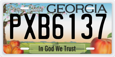 GA license plate PXB6137