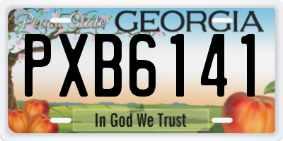 GA license plate PXB6141